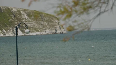 Swanage, cross focus tree to cliff 库存影片 137925459