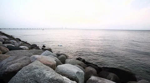 Swans diving in the sea Stock Footage 34616182