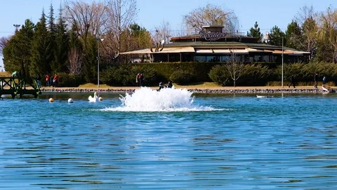 Swans floating in the lake slow motion Stock Footage 125680703