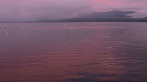 Swans Floating in a Lake at Sunset (Time Lapse/Panning) Stock-Footage 130721400