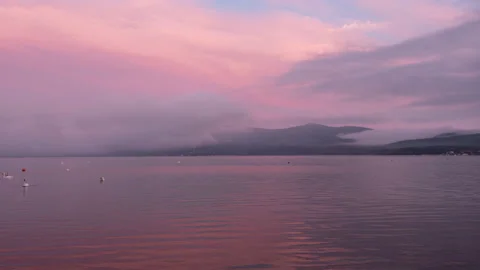 Swans Floating in a Lake at Sunset (Time Lapse) Video stock 130721467