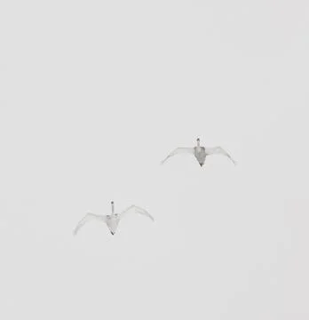 Swans flying Stock Photos