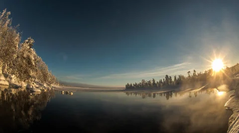 Swans Stock Footage 32255848