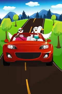 Swans going on a road trip Stock Illustration