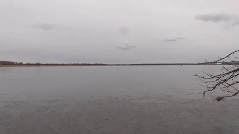 Swans on the lake Stock Footage 244628532