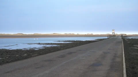 Swans at Lindisfarne Causeway 库存影片 307360791