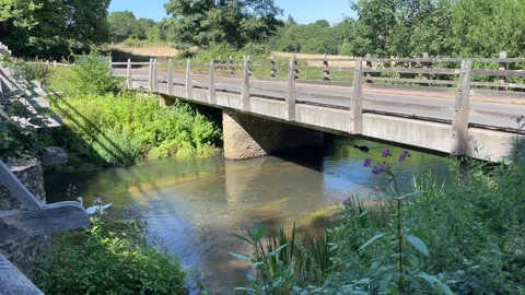 Swans at the old bridge in England Vidéo 312718045