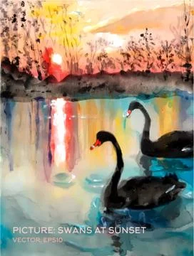 Swans in a pond at sunset, vector version of oil paintings on silk Stock Illustration