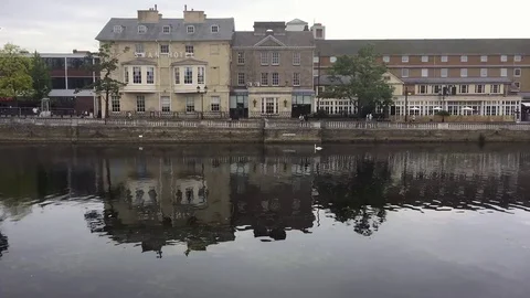 Swans on the river Stock Footage