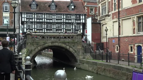 Swans on river witham at high bridge, lincoln, england Stock Footage 40542189