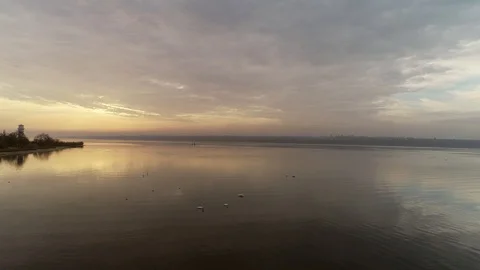 Swans on the water Stock Footage 101403417