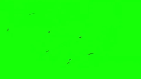 Swarm of 9 Flies Circling on Green Stock Footage
