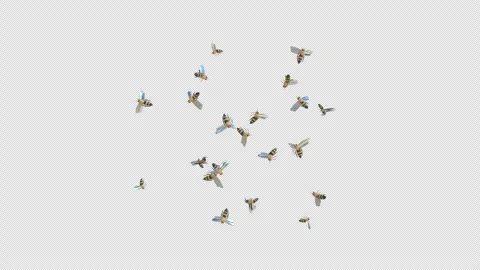 Swarm Of Bees - 3d render looped with alpha channel. Stock Footage 260442866