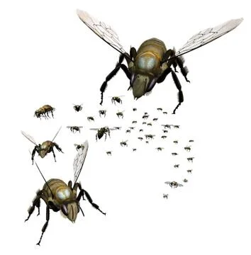 Swarm of Bees Stock-Illustration
