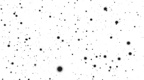 Swarm of black orbs and particles - seamless background (FULL HD) Video stock 57239211