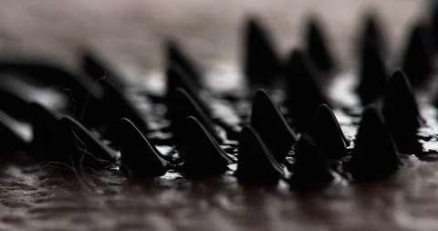 Swarm of black spikes moving along a liquid substance on human body Video stock 104426331