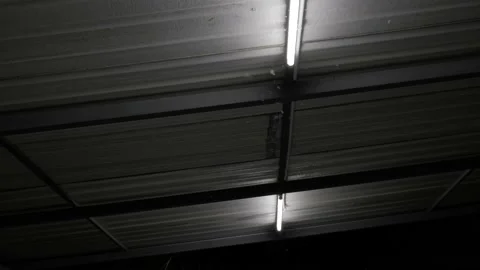 The swarm of bug attracting and flying around the light at night Stock Footage 153825552
