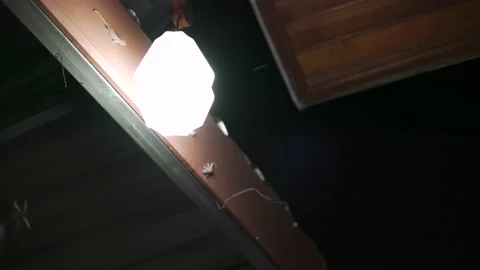 The swarm of bug attracting and flying around the light Stock Footage 171782856