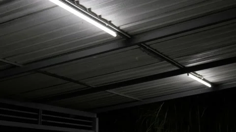 The swarm of bug attracting and flying around the light at night Video stock 174019994