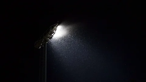 Swarm of bug Stock-Footage 117332057