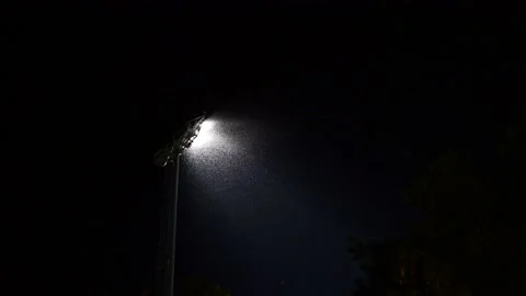 Swarm of bug Stock Footage 158292663
