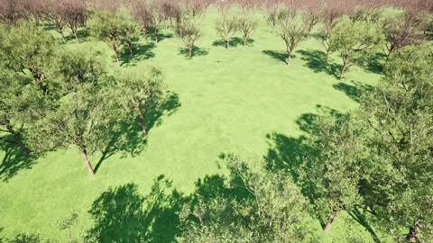 Swarm of drones flies over the trees in the forest Stock Footage 310537785