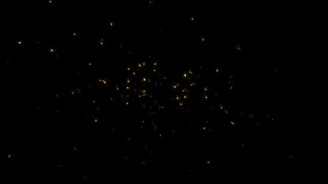 Swarm Of Fireflies. Stock Footage 69856742