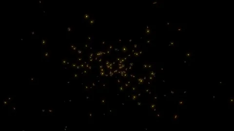 Swarm of FireFlies. Stock Footage 118653873