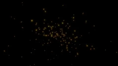 Swarm of FireFlies. Stock Footage 118653886