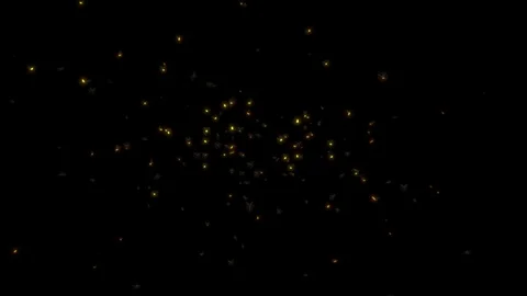 Swarm of FireFlies. Stock Footage 119061704