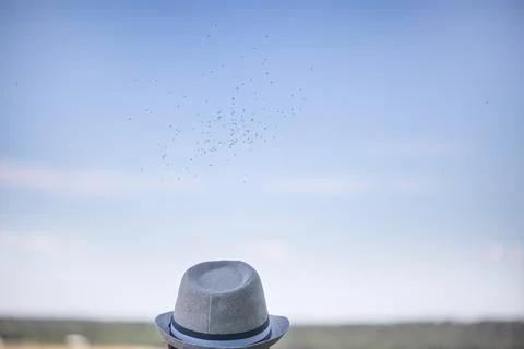 Swarm of fleas above hat Stock Photos