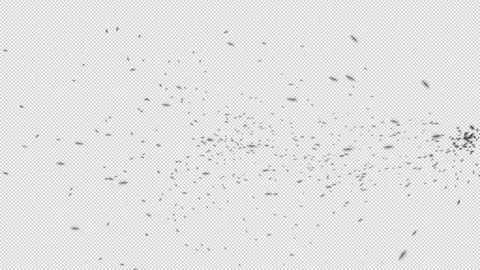 Swarm of Flies. Stock Footage 284001363