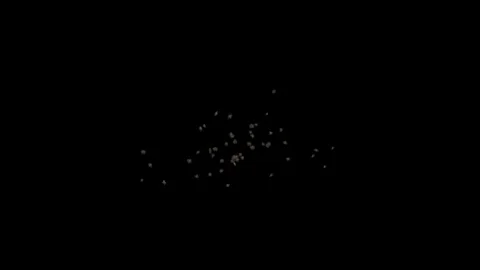 Swarm of flies/moths. Stock Footage 69834738