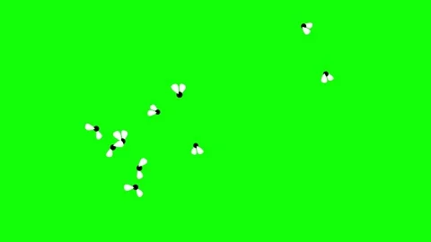 Swarm of Flying Bees on Green Screen Background. Stock-Footage 288022397
