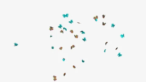Swarm of flying bright butterflies, animation, transparent background Stock Footage