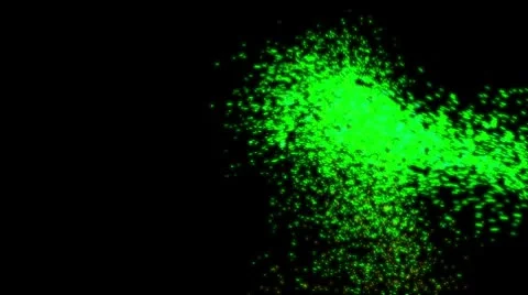 Swarm of green fireflies Stock Footage 8960756