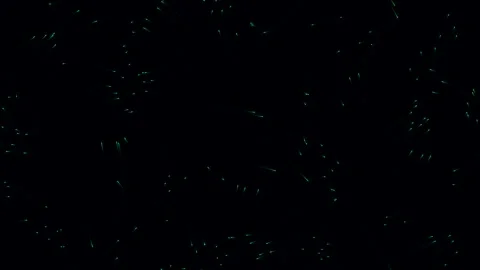 Swarm of Green Light Trails: Abstract Particles Exploding on Black Stock Footage 339178169