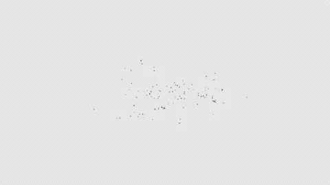 Swarm of Insects with Alpha Channel Stock Footage 233085968