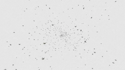 A swarm of insects flies out of the depth of frame and flies towards the camera. Video stock 235706708