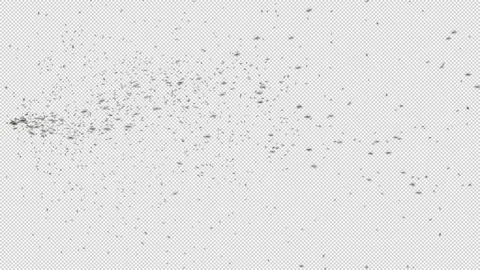 A swarm of insects flies out from the side of the frame and flies around. Stock Footage 241442166