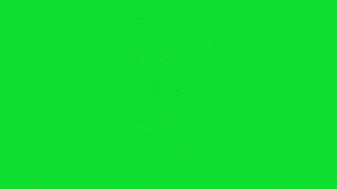 Swarm of Insects Flying Green Screen Animation 4K Stock Footage 336374838