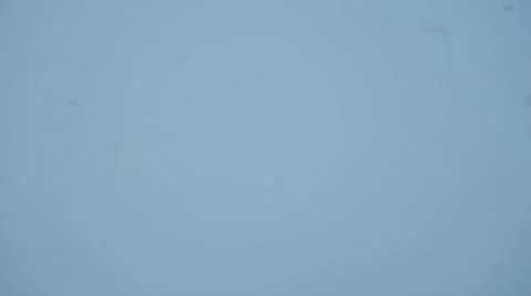 Swarm of midges Stock Footage 27214615