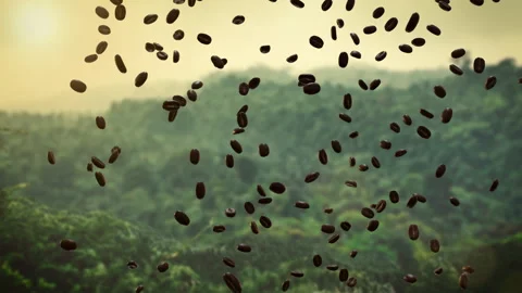 Swarm of Roasted Coffee Beans Exploding Over a Lush Mountain Plantation Stockbeeldmateriaal 337119830