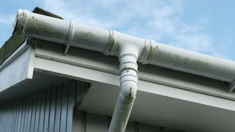 Swarm of wasps and a nest inside a roof and drain pipe on a house in summer Stock Footage 250440892