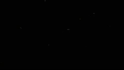 Swarming Bugs and Insects on Black Background Luma Matte 스톡 동영상 212696744