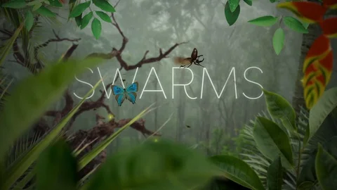 swarms for after effects free download