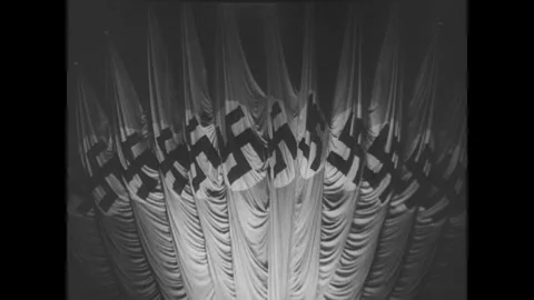 Swastika flags in hall Stock Footage 252518941