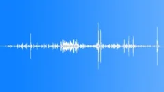 SWAT TEAM Sound Effect