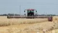 Swather cutting wheat. Three quarter view. HD Footage