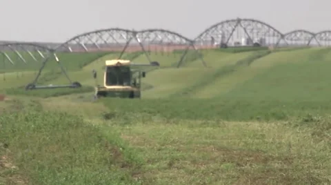 Swather Front View.mp4 Stock Footage 45519452